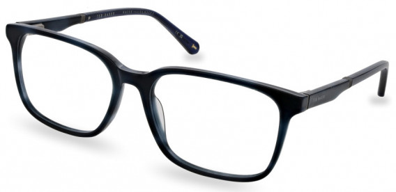 Ted Baker TB8249 glasses in Blue Horn
