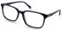 Ted Baker TB8249 glasses in Blue Horn