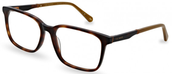 Ted Baker TB8249 glasses in Tortoise