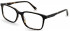 Ted Baker TB8249 glasses in Black