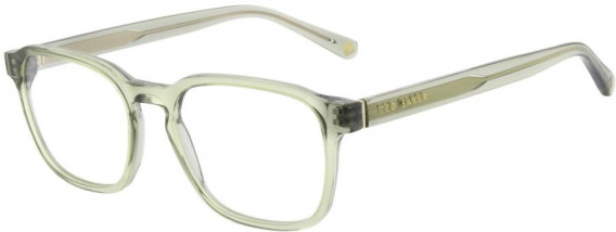 Ted Baker TB8246 glasses in Pistachio