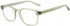 Ted Baker TB8246 glasses in Pistachio