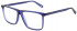Ted Baker TB8240 glasses in Navy