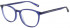 Ted Baker TB8239 glasses in Navy
