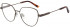Ted Baker TB2283 glasses in Coffee Gold