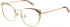 Ted Baker TB2273 glasses in Rose Gold