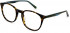 Pepe Jeans PJ3442 glasses in Tort