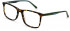 Pepe Jeans PJ3441 glasses in Tortoise