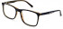 Pepe Jeans PJ3441 glasses in Black/Brown
