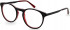 Pepe Jeans PJ3434 glasses in Black Horn
