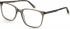 Pepe Jeans PJ3433 glasses in Beige