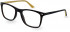 Pepe Jeans PJ3431 glasses in Brown