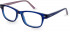 Pepe Jeans PJ3429 glasses in Blue