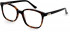Pepe Jeans PJ3415 glasses in Tort