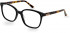 Pepe Jeans PJ3415 glasses in Black