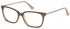 Pepe Jeans PJ3414 glasses in Brown