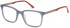 Pepe Jeans PJ3405 glasses in Grey