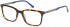 Pepe Jeans PJ3405 glasses in Dark Tortoise