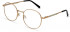 Pepe Jeans PJ1366 glasses in Satin Gold
