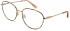 Pepe Jeans PJ1364 glasses in Black/Amber
