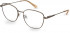 Pepe Jeans PJ1358 glasses in Brown