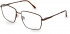 Pepe Jeans PJ1357 glasses in Brown