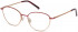 Pepe Jeans PJ1329 glasses in Wine