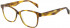 Maje MJ1024 glasses in Light Tortoiseshell