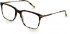 Hackett HEB273 glasses in Tort/Graphic Tort