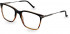 Hackett HEB273 glasses in Black/Horn