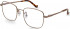 Hackett HEB271 glasses in Copper