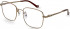 Hackett HEB271 glasses in Brass