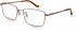 Hackett HEB270 glasses in Copper