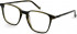 Hackett HEB267 glasses in Olive Horn