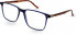 Hackett HEB264 glasses in Navy Utx