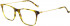 Hackett HEB261 glasses in Amber Tort Utx