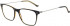 Hackett HEB261 glasses in Black/Tort Utx