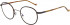 Hackett HEB260 glasses in Brown