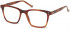 Hackett HEB255 glasses in Dark Tort Utx