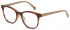Benetton BEO1040 glasses in Brown Horn