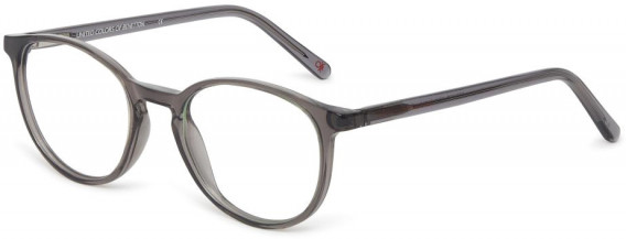 Benetton BEO1037 glasses in Grey