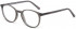 Benetton BEO1037 glasses in Grey