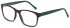 Benetton BEO1034 glasses in Dark Brown