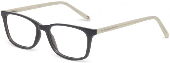 Benetton BEO1032 glasses in Grey