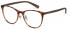 Benetton BEO1012 glasses in Tortoise