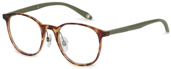 Benetton BEO1010 glasses in Tortoise