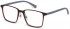 Benetton BEO1009 glasses in Burgundy