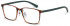 Benetton BEO1009 glasses in Tortoise