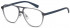 Benetton BEO1008 glasses in Dark Grey