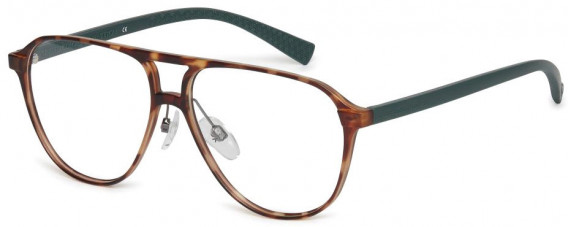 Benetton BEO1008 glasses in Tortoise
